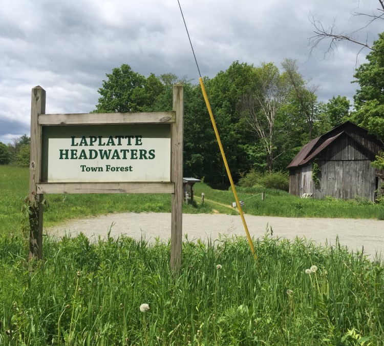 Trail Head Parking Lot - Laplatte Headwaters Town Forest (Hinesburg,&nbspVT)